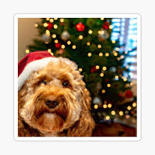 Stickers sur le thème Sapin De Noel Pour Chien