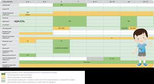 Прививка Адасель. Применение вакцины против дифтерии, коклюша и столбняка —  Docsfera