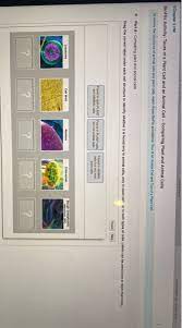 We did not find results for: Course Home Chapter 3 Hw Bioflix Activity Tours Of Chegg Com