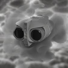 Image result for owl ship