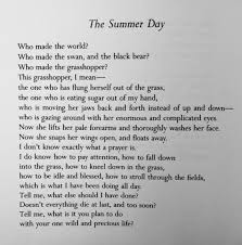 Mary Oliver The Summer Day Mary Oliver Quotes Mary Oliver Poems Quotes