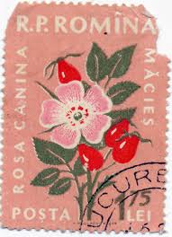 Rosa Luna Vintage Postage Stamps Vintage Stamps Stamp Design