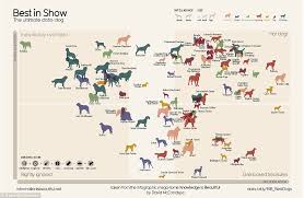 Man's best friend is a phrase referring to domestic dogs, highlighting their close relations, loyalty, and companionship with humans within many societies. Is The Collie Really Top Dog Canine Comparison Survey Rates Each Breed To Work Out Which Really Is Man S Best Friend Daily Mail Online
