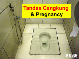 Cara tukar (flush valve) pam tandas duduk /cangkung rosak. Adakah Selamat Menggunakan Tandas Cangkung Ergomum Blog Untuk Ibu Hamil