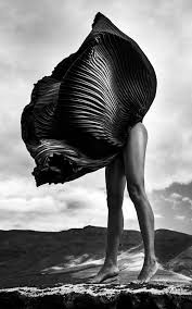 the flower 2014 photographed by szymon brodziak black and white bodies black girl art face pictures