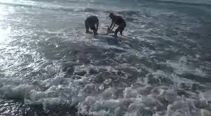 Entspannen sie am strand von costa calma! Freundeskreis Herbstgold Fuerteventura Home Facebook