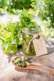Aus Mamas Garten Drei Rezepte Mit Giersch Leelah Loves Giersch Rezepte Giersch Und Giersch Pesto