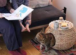 テーブルにもなるキャットハウス selected by 倉石一樹が選ぶ いつかは欲しいと思っていた猫ちぐら 伝統製法のものは数年待ちなどでなかなか購入する機会も無かったのですが 先日このキャットハウスを教えてもらっ wicker laundry basket laundry basket