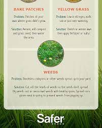 When to fertilize, water, mow, and deal with weeds and pests depends on where you live. Do It Yourself Organic Lawn Care