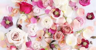 Find the perfect yellow mustard stock photos and editorial news pictures from getty images. Artificial Flowers Silk Flowers Faux Flowers