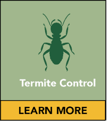 We operate the fayetteville, nc branch of animals in the attic. Ecoadvantage Pest Control Exterminators Fayetteville And Hope Mills