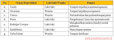 Tuliskan reaksi ionisasi dan nama senyawa di atas. Lengkapi Tabel Berikut Blog Pak Pandani