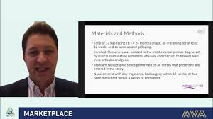 Dr Florent David and Australian Vet Association present Arthramid Vet 2.5%  PAAG.