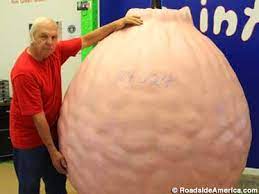 Check spelling or type a new query. World S Largest Ball Of Paint Alexandria Indiana