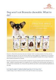 Drugs that belong to this class of drug are absorbed into the bloodstream and then quickly how does bravecto work? Does Bravecto Off 63 Www Usushimd Com