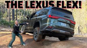 Image result for Nori Green 2025 LZ