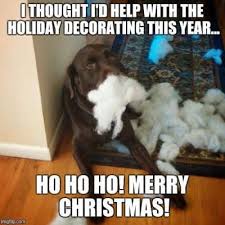 Share this bruh meme with your favorite teacher. These Are The Best Christmas Dog Memes You Ll See Today