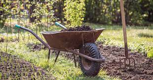 How To Use Leaves For Compost And Mulch Gardener S Path