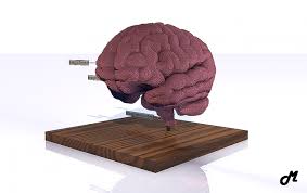 Brain anatomy, the brain is composed of more than a thousand billion neurons. Brain Anatomy Minecraft Map