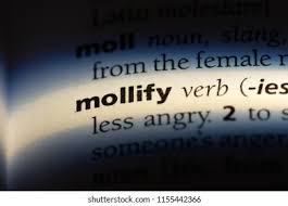نتیجه جستجوی لغت [mollify] در گوگل