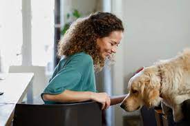 When your pet is unexpectedly sick or injured, the trupanion policy pays for 90% of eligible medical costs, minus your deductible. Do You Need Renter S Insurance For Your Dog American Kennel Club