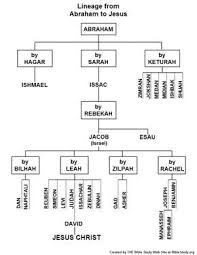 Chart Showing The Lineage From Abraham To Jesus Bible