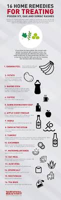 Yeah So Nows Theres That Home Remedies For Treating Poison Ivy Infographic Poison Ivy Home Remedies Natural Headache Remedies Poison Ivy Remedies