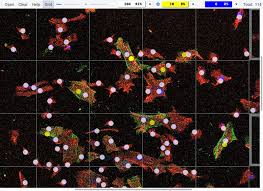 Free tally counter online for android. Clickmaster2000 Click Things Get Counts