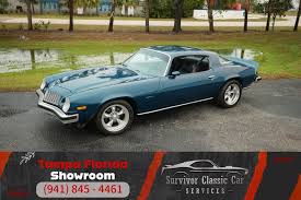 Image result for Light Blue 1976 GM