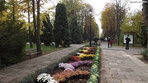 Toate florile de maine sunt in semintele de azi. proverb indian. Iasi Prin Gradina BotanicÄ In Haine De ToamnÄ Impresii La Pas Prin Gradina BotanicÄ IaÈi Amfostacolo
