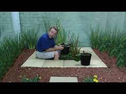 Build Your Own Pond In Your Garden Youtube Landscaping With Rocks Backyard Water Feature Rock Landscaping Ideas