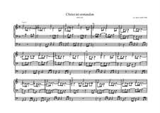 Christ Ist Erstanden Bwv 627 Choralvorspiele I Orgelbuchlein Von J S Bach Auf Musicaneo Атис степиньш орган домского собора г риги. christ ist erstanden bwv 627