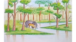 How To Draw Scenery Of Forest Step By Step Landscape Drawings Waterfall Drawing Pencil Drawings