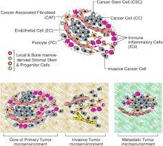 Many cancers form solid tumors, but cancers of the blood, such as leukemias, generally do not. Hallmarks Of Cancer The Next Generation Cell