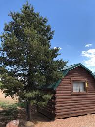 Our 38 acre camp runs along the uncompaghre river at the gateway to the san juan mountains and just minutes from downtown. Campground Spotlight Colorado Springs Koa Holiday Metropolitan Mama