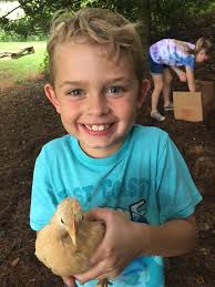 Trying to figure out how to co parent is hard work for Amelia and Clarke 😂