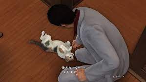 Yakuza 6 Cats Guide Stray Cats Locations Where To Find All 19 Cats Segmentnext