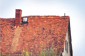 1 er musste das dach neu decken las sen ihm das. Was Kostet Ein Neues Dach Dachsanierung Herold