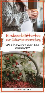 Himbeerblättertee kann eine schwangere in der apotheke oder einem reformhaus erwerben. Himbeerblatter Zur Geburtsvorbereitung Studien Zweifeln Wirkung An Geburt Vorbereitung Geburtsvorbereitung Geburt