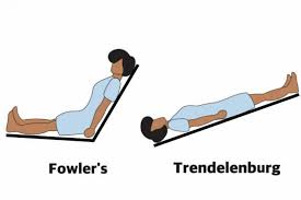 نتیجه جستجوی لغت [fowler] در گوگل