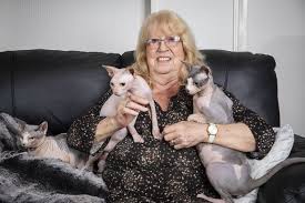 Most hairless cat breeds have a small amount of fuzz on their bodies. Woman Who Brought The First Sphynx Cat To Britain 30 Years Ago Has Defended Them After They Were Labelled The Ugliest In The World Wales Online