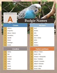 List Birds That Start With B Unique Pet Bird Names Beginning With A B C D Budgies For Beginners Brooke Stevens Unique Pet Bird Names Beginning Unique Animals Pet Bird Budgies