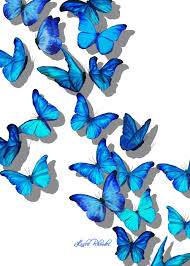 Pin Di Art