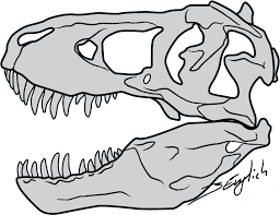 T Rex Skull By Belverine On Deviantart Dinosaur Drawing Dinosaur Silhouette Skeleton Drawings