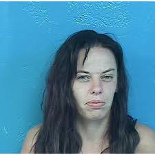 SCSO: Two arrested at Lynn Garden Travel Inn