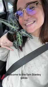 Largest Plant Nursery Tacoma Wa