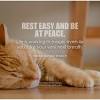 Buy cat memorials and get the best deals at the lowest prices on ebay! 3