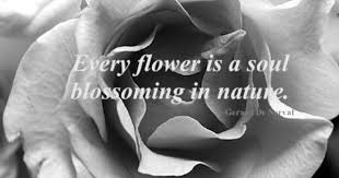 Inspirational Black And White Photography Quotes Every Flower Is A Soul Blossoming In Nature Worldofgood Ad Earthfootwear Quote Flower Quotes Inspirational Quotes Quotes
