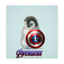 Captain Penguin America Cute Penguins Baby Penguins Cute Animals