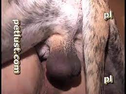سكس لواط حيوانات ❤️ Best adult photos at gayporn.id